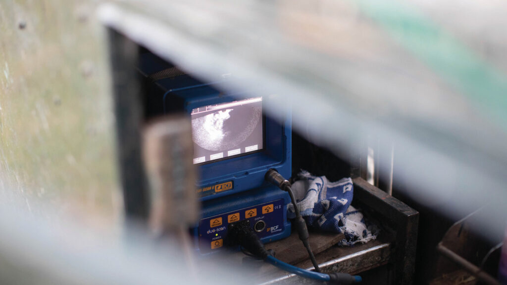 Pregnancy scanning of ewes