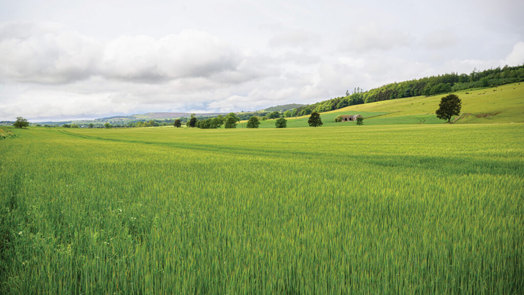 Raby Estate