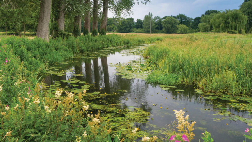 River Winsum © Universal Images Group/Alamy Stock Photo