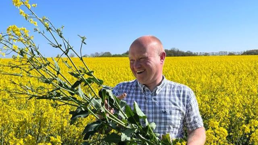 Prime Agriculture's Steve Baldock in field of yellow flowers holding a sheaf of crops and smiling