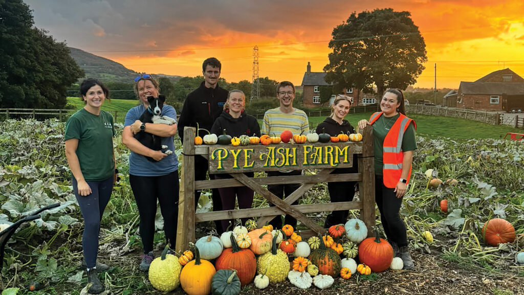 Team pumpkin at Pye Ash Farm © Pye Ash Farm