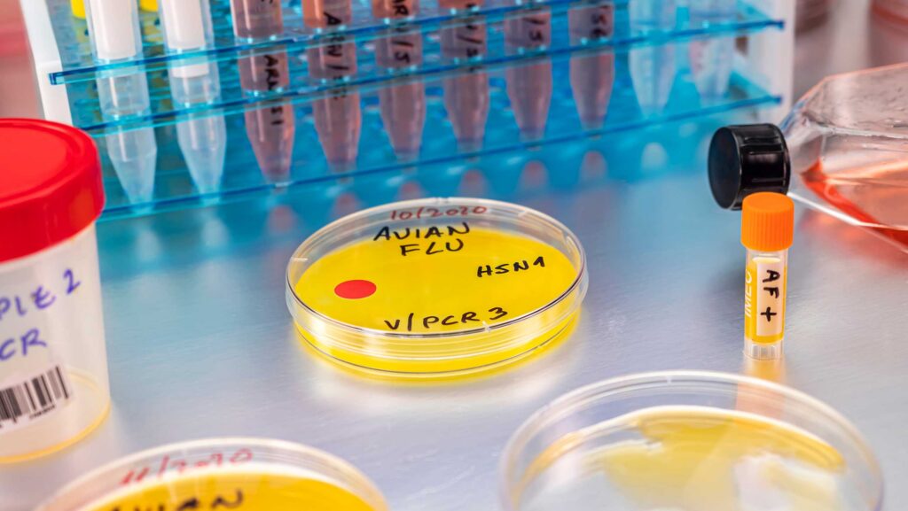 Bird flu confirmed at 32,000-bird free-range egg farm - Farmers Weekly