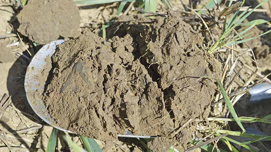 Well-structured soil