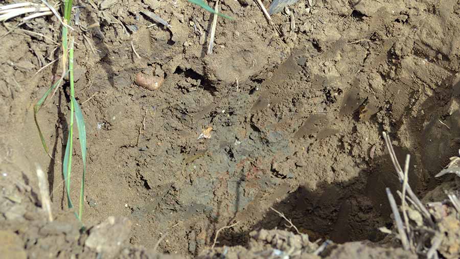 Anaerobic soil