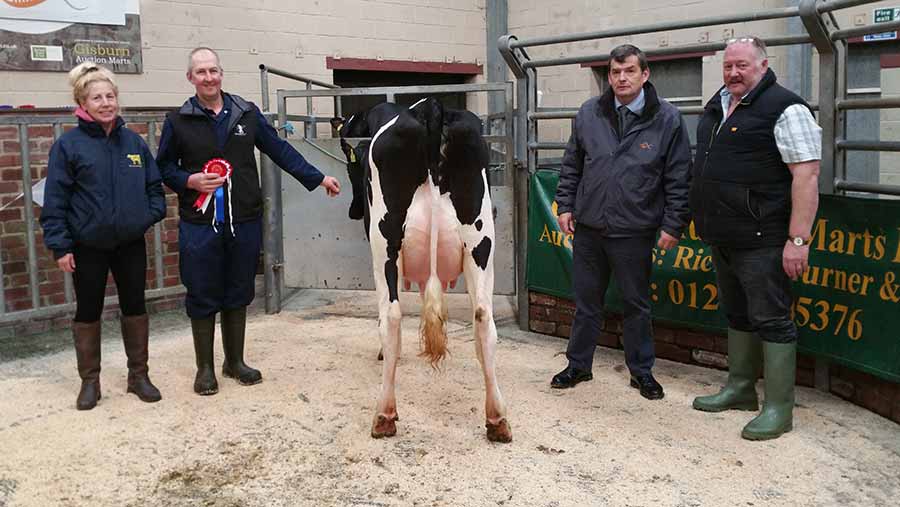 The champion heifer, pictured with (L-R) Sue Sutcliffe of W E Jameson and Son (joint sponsors), A Bretherton, Ian Plews (Cogent Breeding) and Dough Graves (judge)
