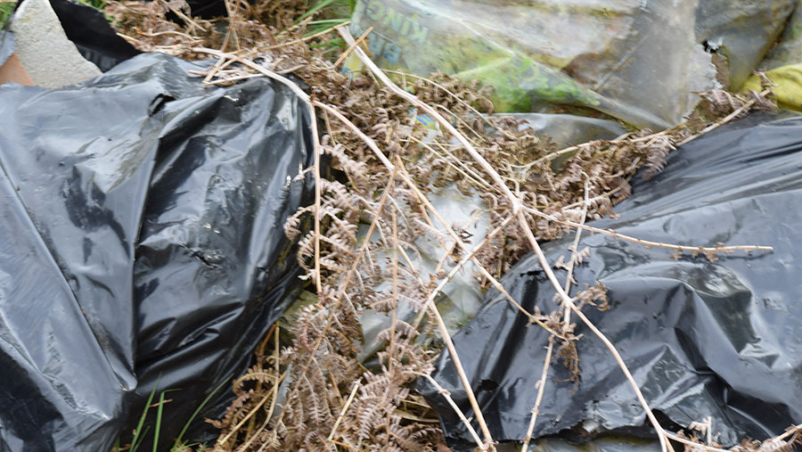 A close up showing fly-tipped waste including sheep carcasses in bags