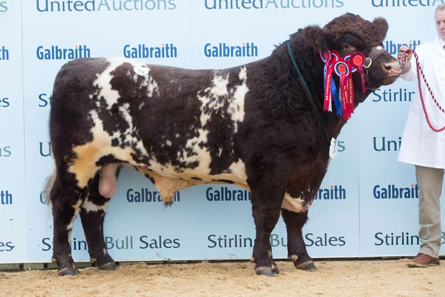 Beef Shorthorns sell to October breed record at Stirling - Farmers Weekly