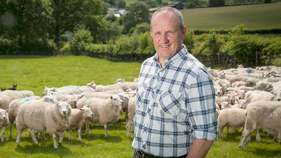 Keith Williams  in a field with sheep