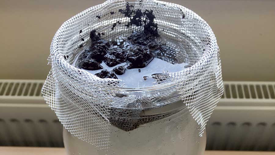 Mesh hooked over jar of water