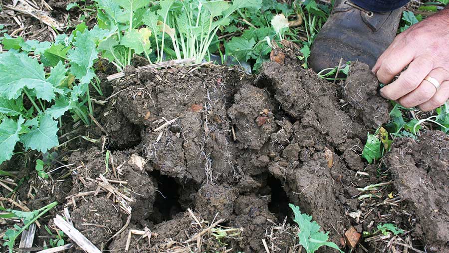 Digging a soil pit © Oli Hill/RBI