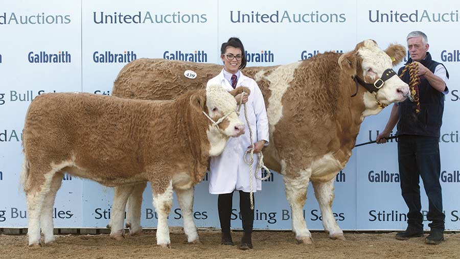 Sterling Celia Fiifi sold with her heifer calf at foot