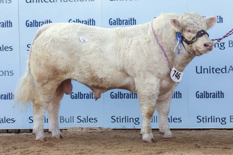 Glenericht Majestic from Messrs Drysdale 