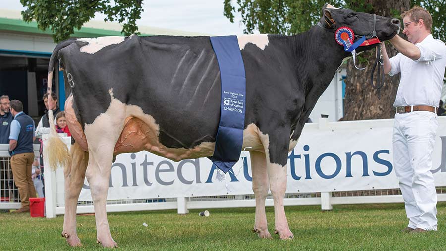 Holstein champion Royal Highland Show 2018
