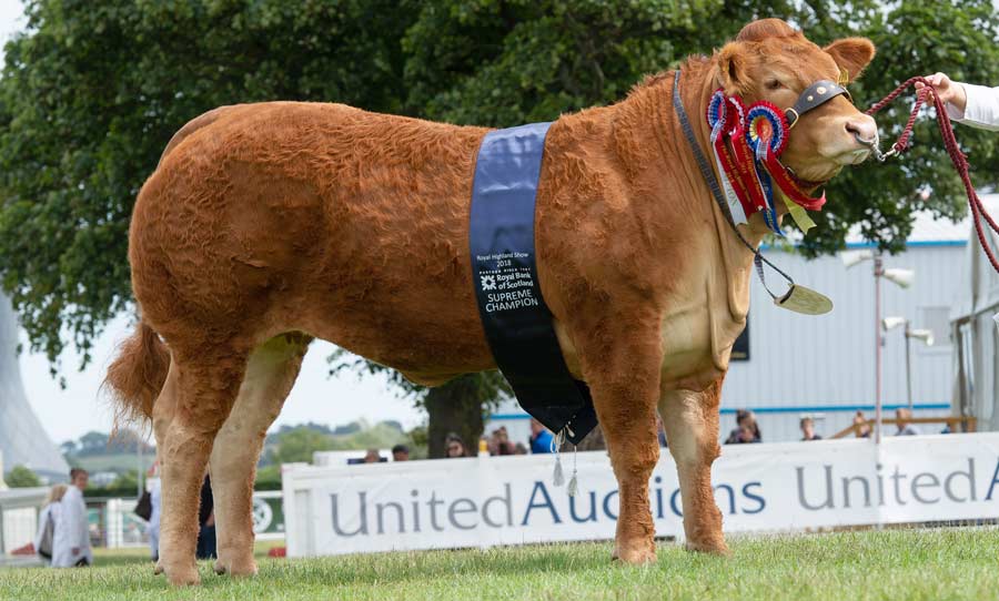 Beef champion Royal Highland Show 2018