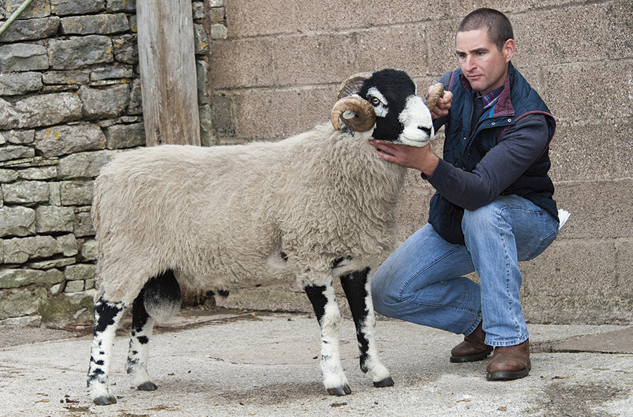 Sale leader at £40,000 was an entry from Messrs Cockbain, Rakefoot Farm