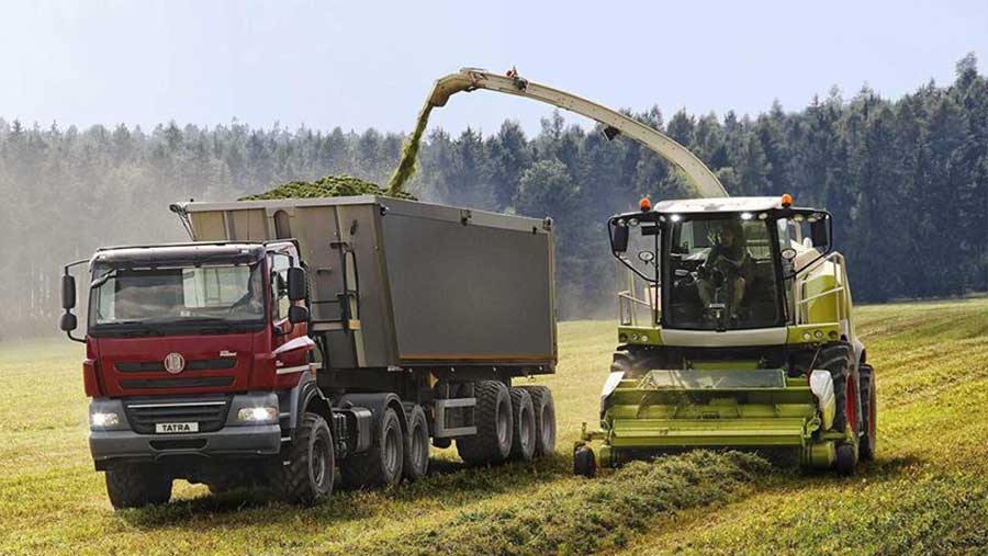 Tatra truck in a field during harvest