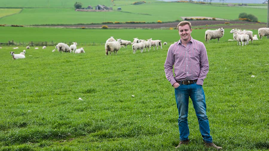 Rory Stodart with the farm's flock of breeding ewes © Alan Richardson