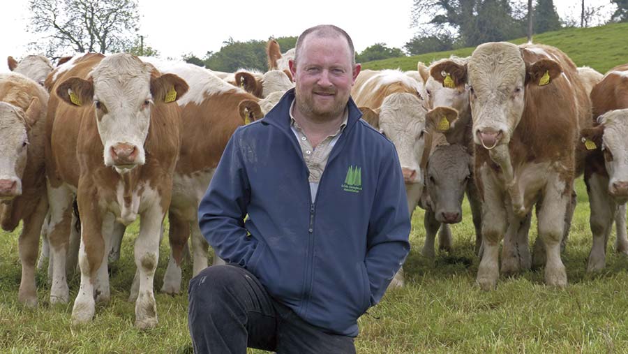 Tommy Moyles crouches in a field of beef cows