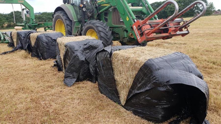 Hay bales slashed open on Jeanette Mcguinness' farm