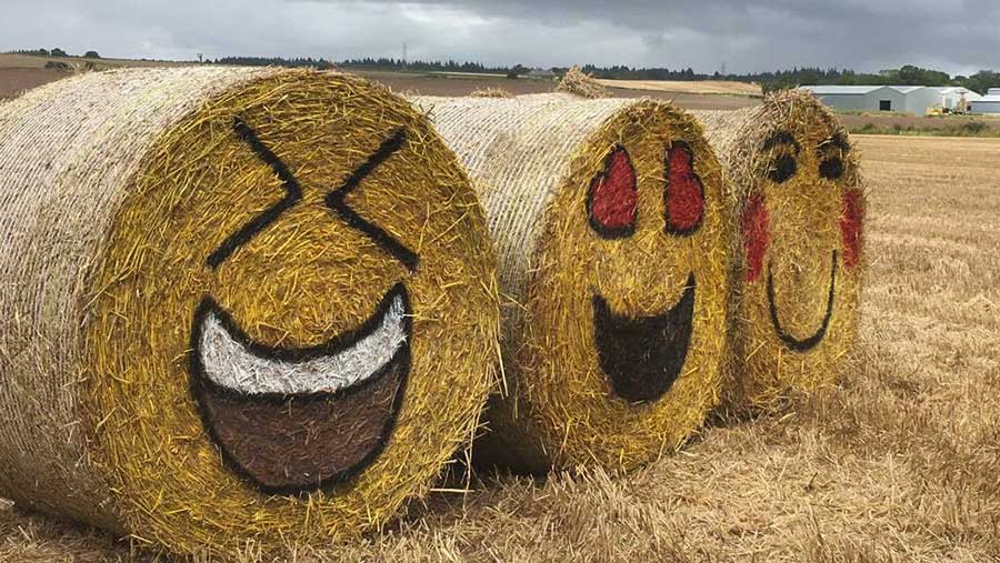 Bales decorated as emojis © Fleur Baxter