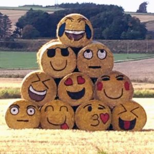 Bales decorated as emojis © Fleur Baxter