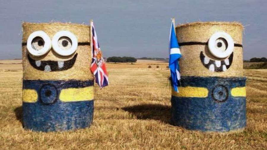 Bales decorated as minions © Fleur Baxter