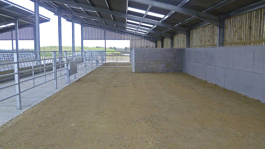 Compacted stone floor of shed