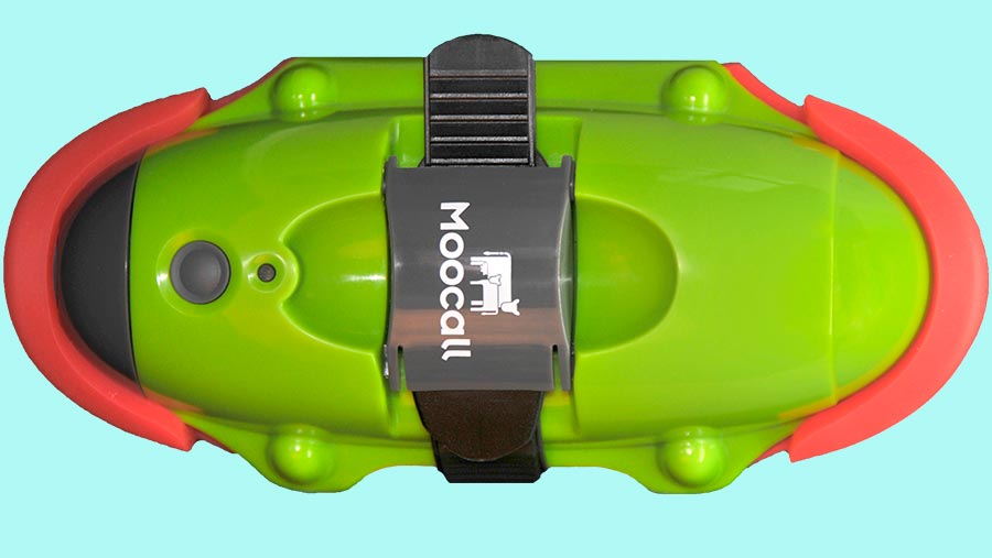 Moocall Calving Sensor