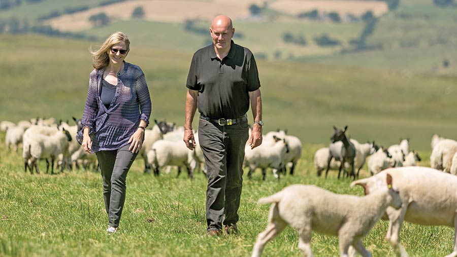 Sarah and John Yeomans in field with sheep