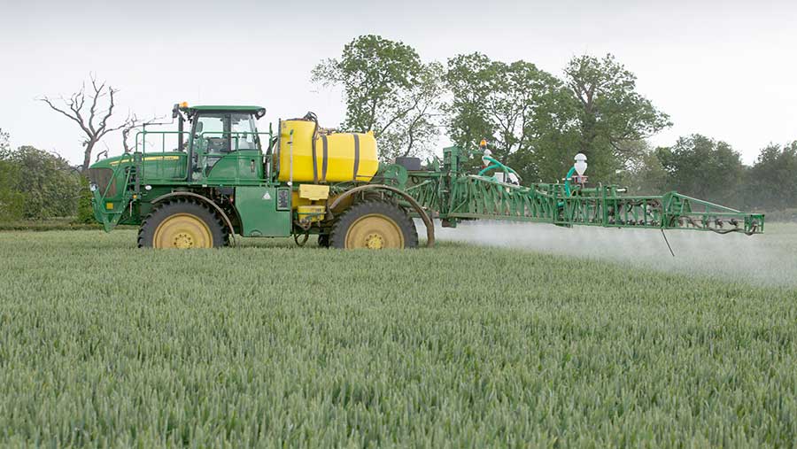 spraying wheat