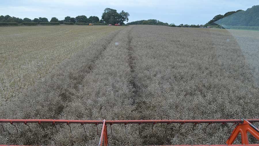 View from the cab as Tim Lamyman harvests his rapeseed