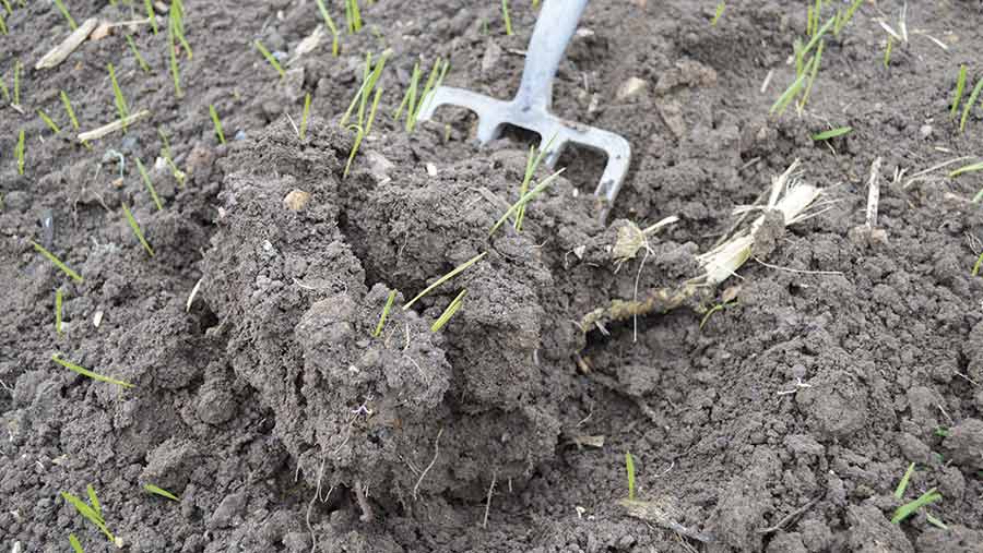 A rake digs into soil