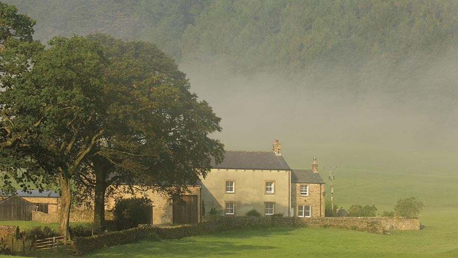 farmhouse in the mist