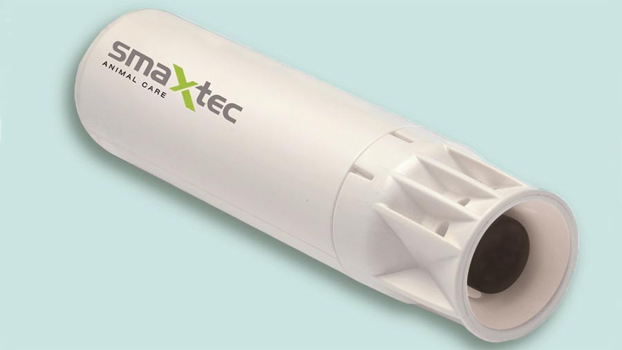 smaXtec Basic Bolus