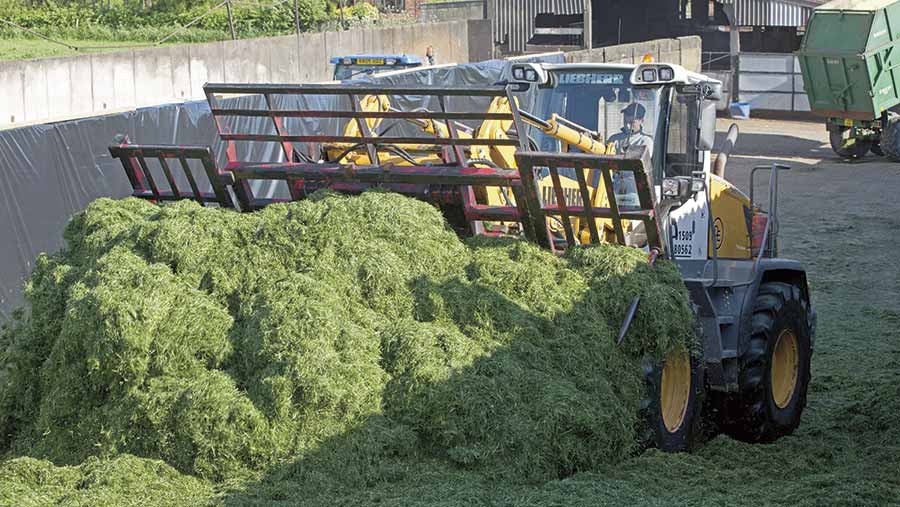 Layering silage