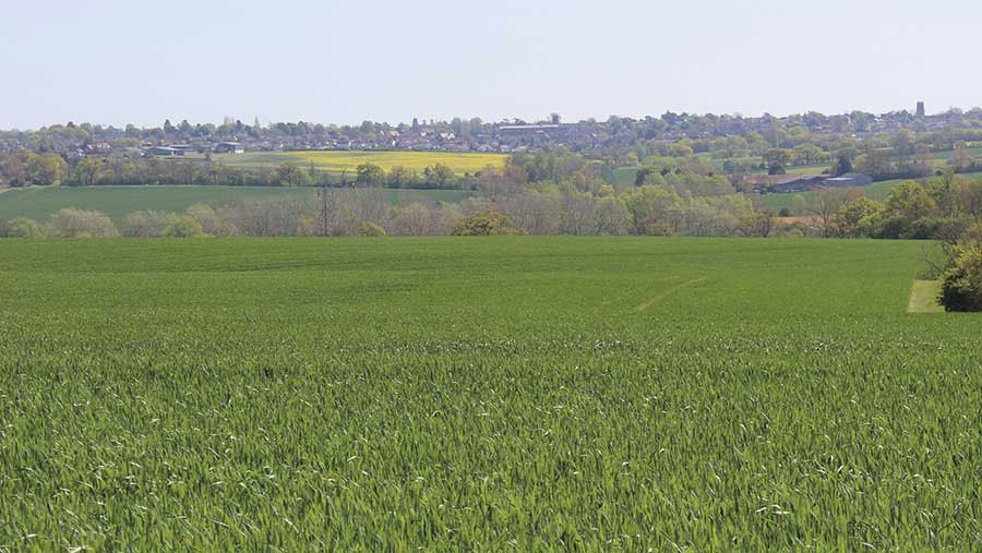 Farm in Epping