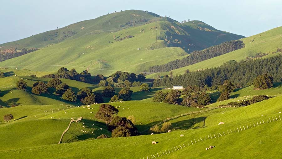 Farming landscape in New Zealand