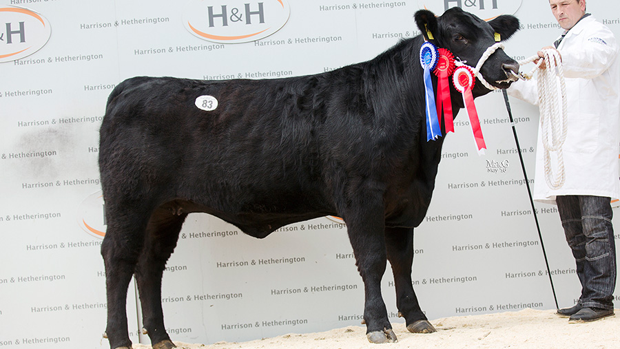 83 Duncanziemere Edwina R126