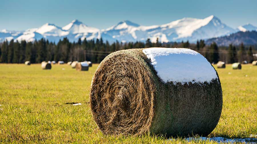 A hay bale topped with snow in a cut clear field with snow capped mountains and blue sky