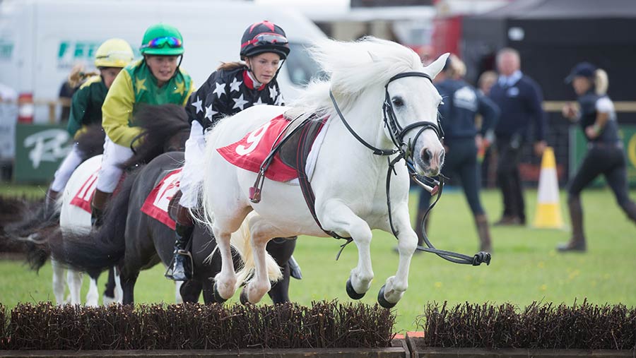 Children on horses at Game Fair