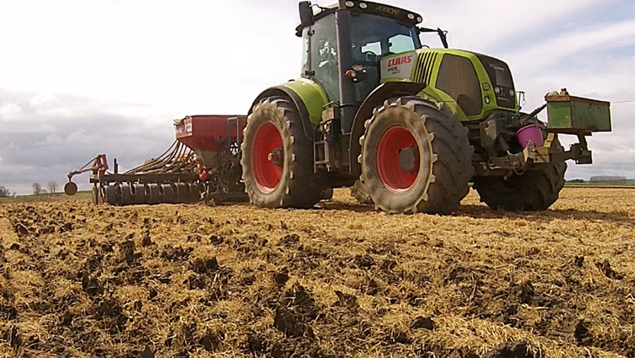 Spring barley drilling into a cover crop on the Lincolnshire Fens