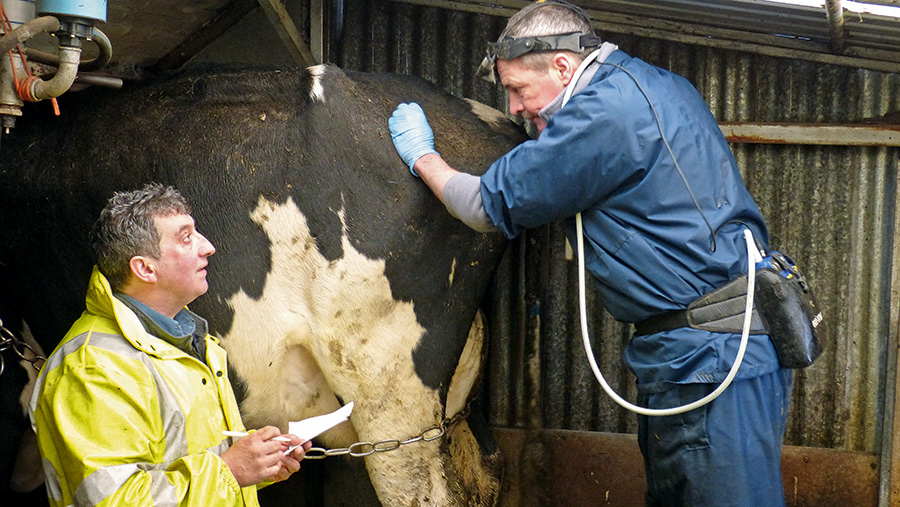 Andrew Griffiths, left, and Vet Marcus van Doorn during scanning for twins