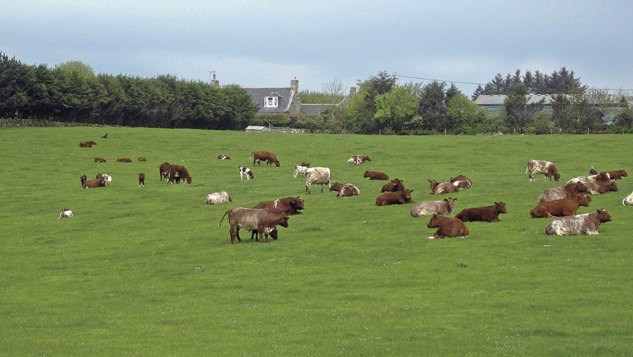 Balmedie Farm