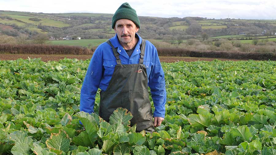 Beef producer Berwyn Lloyd