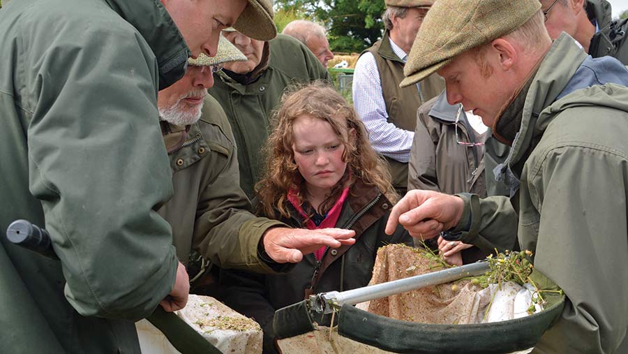 Inspecting a sweep net on the Norfolk Estate