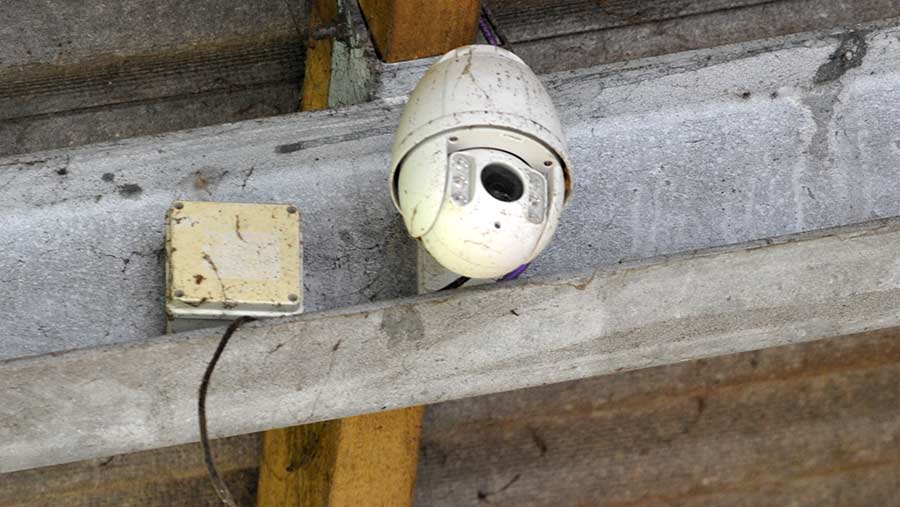 A camera inside a calving pen