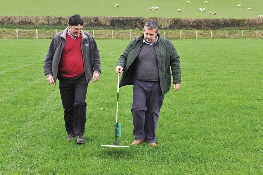 Charlie Morgan and Dewi Jones measuring grass