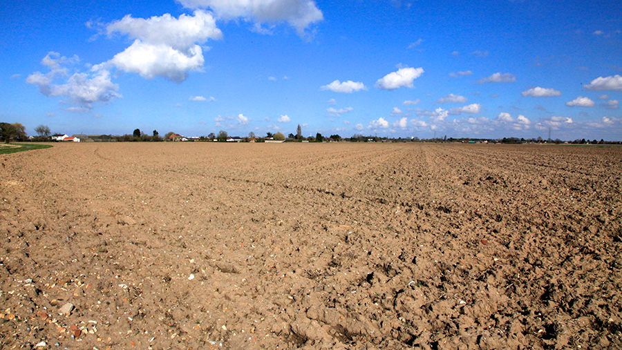 Clenchwarton Farm
