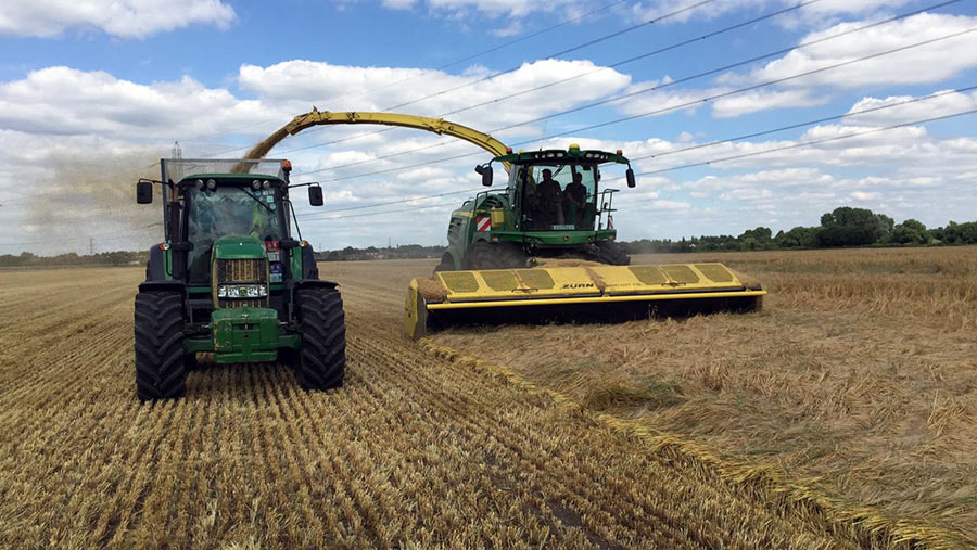 Colin Rayner cutting whole crop winter barley 