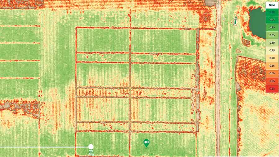 drone aerial map